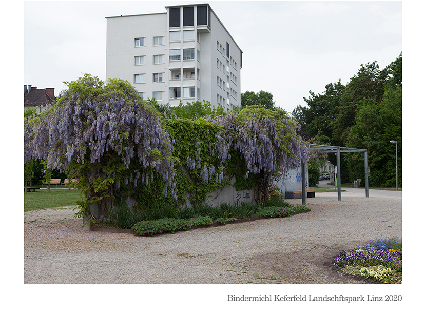 Bindermichl Keferfeld Landschftspark Linz 2020 © Billensteiner Renate