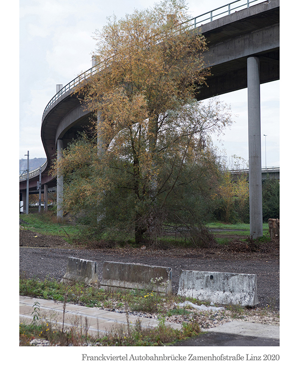 Franckviertel unter Autobahnbrücke Zamenhofstraße Linz 2020 © Billensteiner Renate