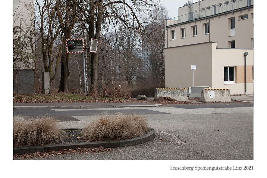 Froschberg Sophiengutstraße 20 Linz 2021 © Billensteiner Renate