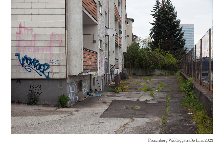 Froschberg Waldeggstraße Linz 2023 © Billensteiner Renate