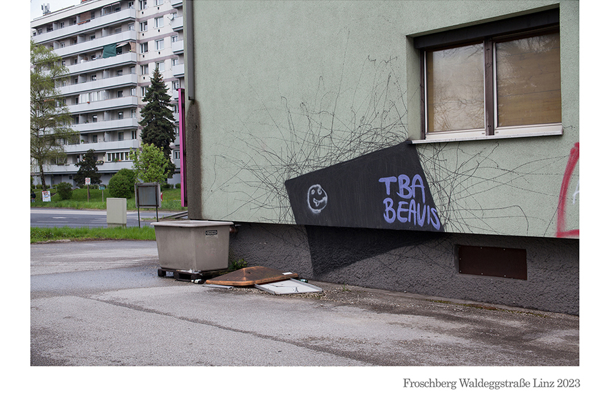 Froschberg Waldeggstraße Linz 2023 © Renate Billensteiner