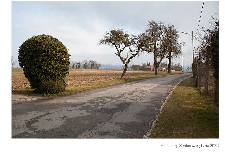 Ebelsberg Schlossweg Linz 2022 © Billensteiner Renate