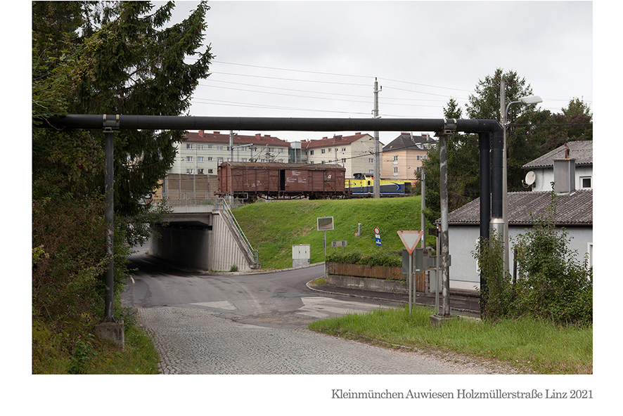 Kleinmünchen Auwiesen Holzmüllerstraße Linz 2021 © Billensteiner Renate